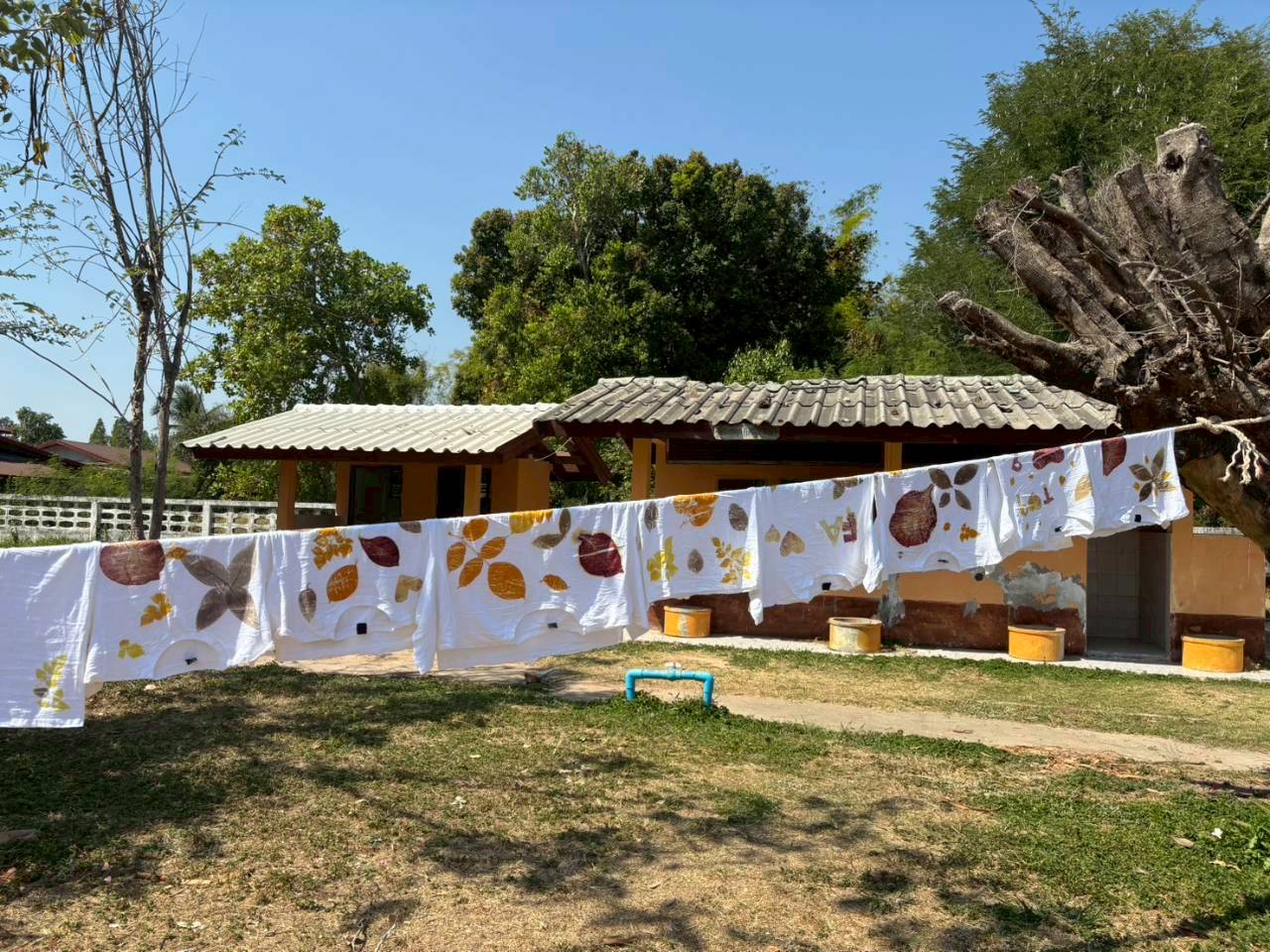 title - ส.ป.ก.อำนาจเจริญ จักฝึกอบรมโครงการอนุรักษ์พันธุกรรมพืช อันเนื่องมาจากพระราชดำริ  สมเด็จพระเทพรัตนราชสุดาฯ สยามบรมราชกุมารี (อพ.สธ.) ประจำปีงบประมาณ 2569